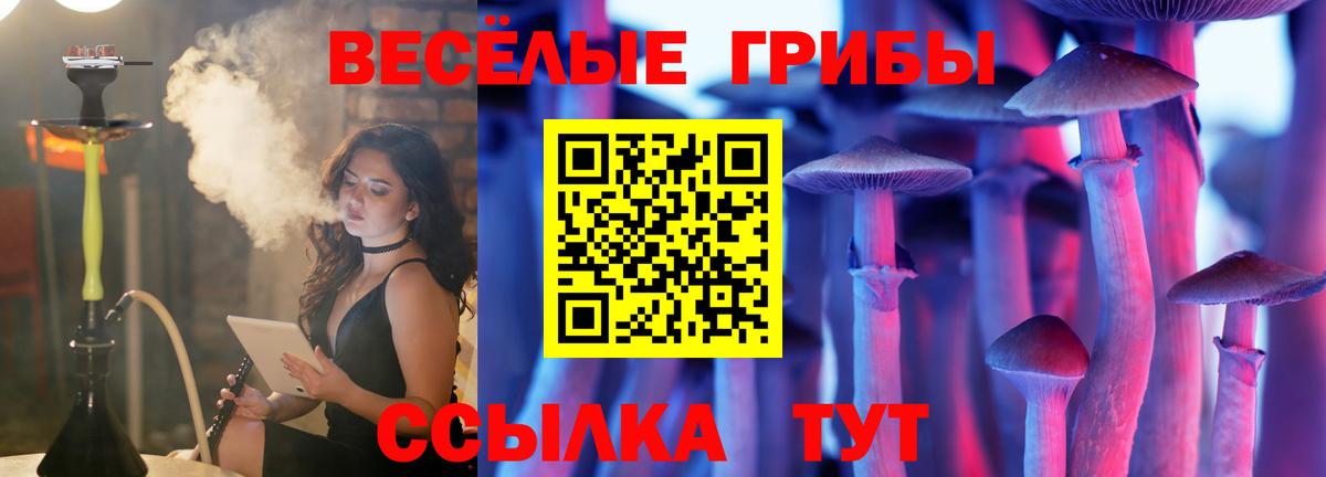 Выборг  Галлюциногенные грибы ЛСД  Галлюциногенные грибы Psilocybe  Вход с VPN 